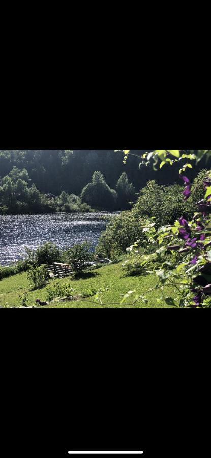 Glamping On Idyllic Lake, Paddle Boards & Rowboat Porsgrunn Buitenkant foto