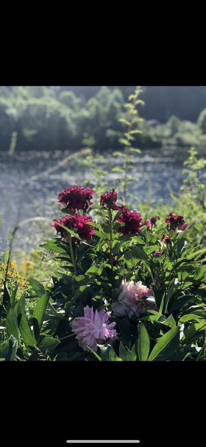 Glamping On Idyllic Lake, Paddle Boards & Rowboat Porsgrunn Buitenkant foto