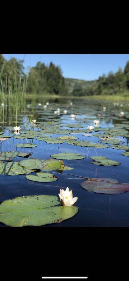 Glamping On Idyllic Lake, Paddle Boards & Rowboat Porsgrunn Buitenkant foto